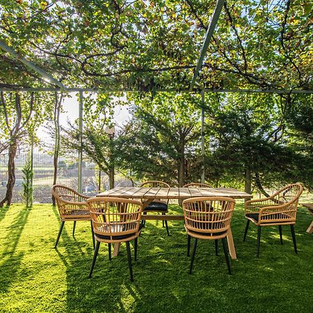Masticha Apartment Oinofyta Екстериор снимка