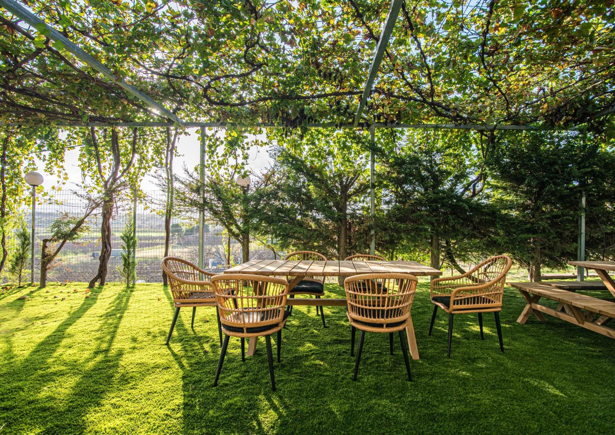 Masticha Apartment Oinofyta Екстериор снимка